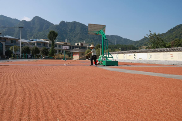 66d120be103af.png 4.png