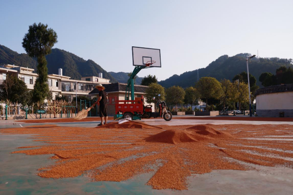 66d121016d712.png 7.png