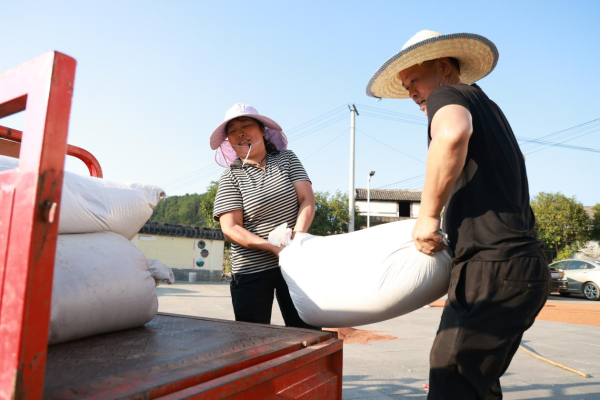 66d12112e7fd5.png 10.png