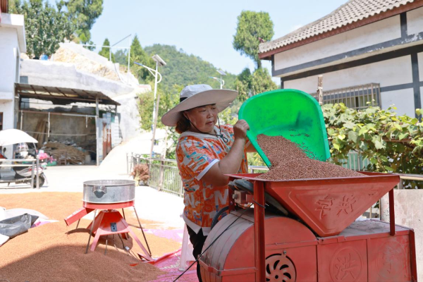 66d121207b6df.png 11.png