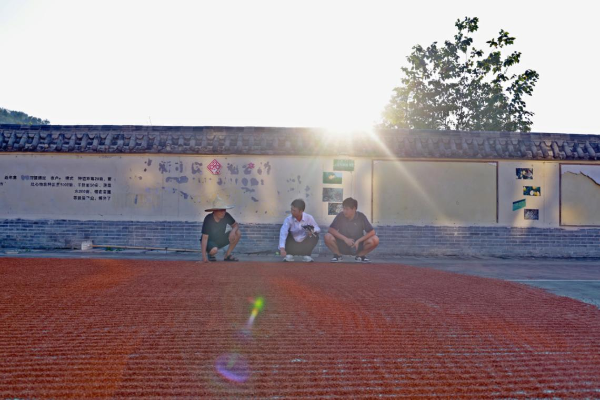 66d121394a094.png 14.png